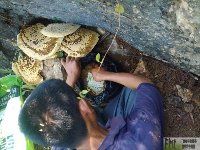 纯天然蜂蜜价格是多少？